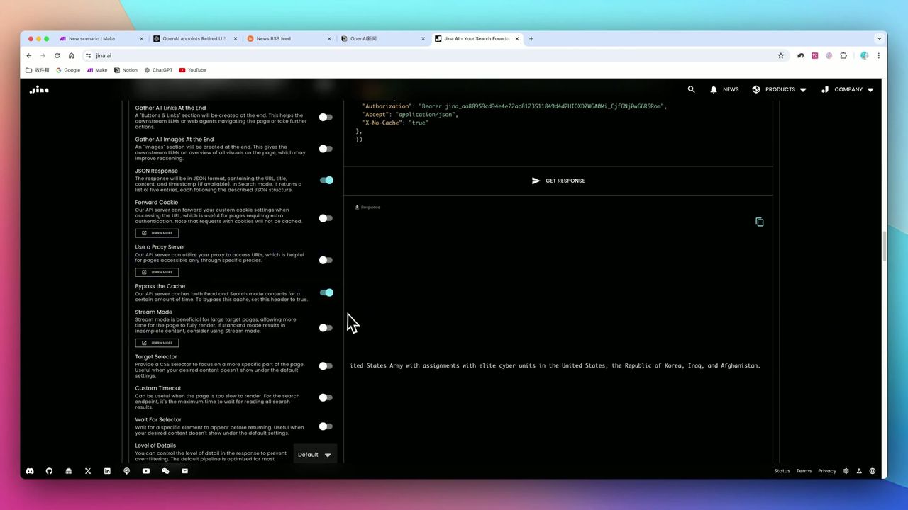Jina Reader API参数配置